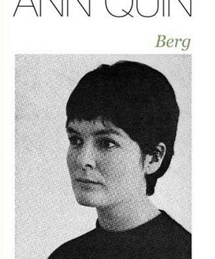 Berg by Ann Quin (Marion Boyars)