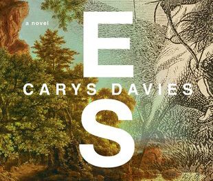 West by Carys Davies (Scribner)